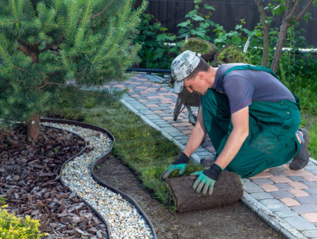 Landscape Gardener Laying Turf For New Lawn